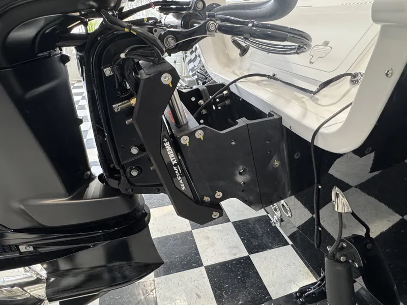 Slide: The Image of Sea Pro 250 DLX 2026 - 17