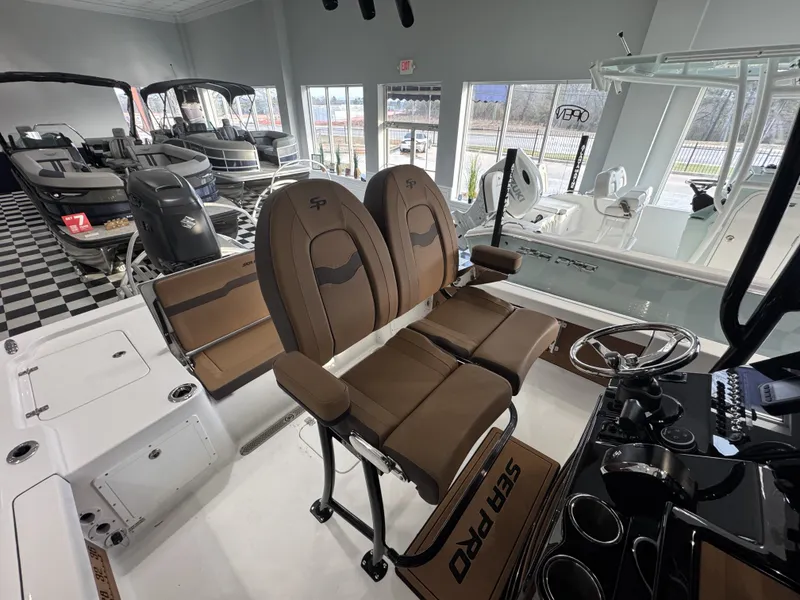 Slide: The Image of Sea Pro 250 DLX 2026 - 9