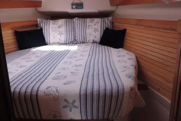Slide: The Image of Cozy cabin interior of 2008 Catalina 350 MkII with nautical-themed bedding. - 25