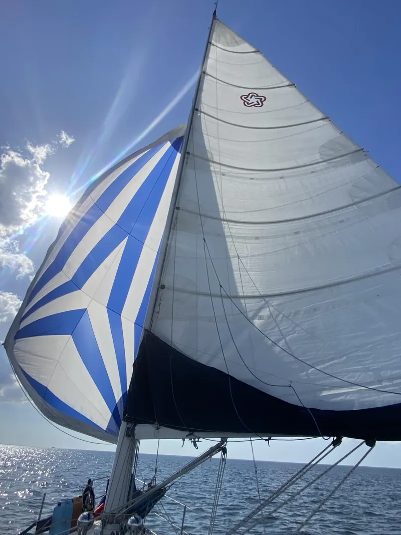 Slide: The Image of Sailboat Freedom F-38 (1991) with blue and white sails on open sea under sunny sky. - 50