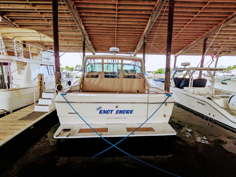 Slide: The Image of 1988 Sea Ray 390 Express Cruiser docked in marina, rear view. - 4