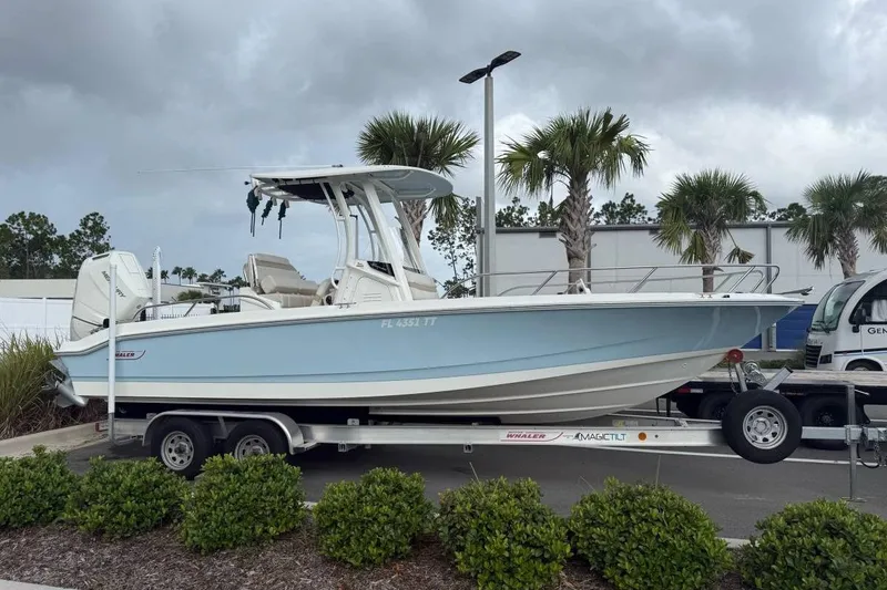The Image of 2024 Boston Whaler 250 Dauntless boat on trailer, parked near palm trees. - 0