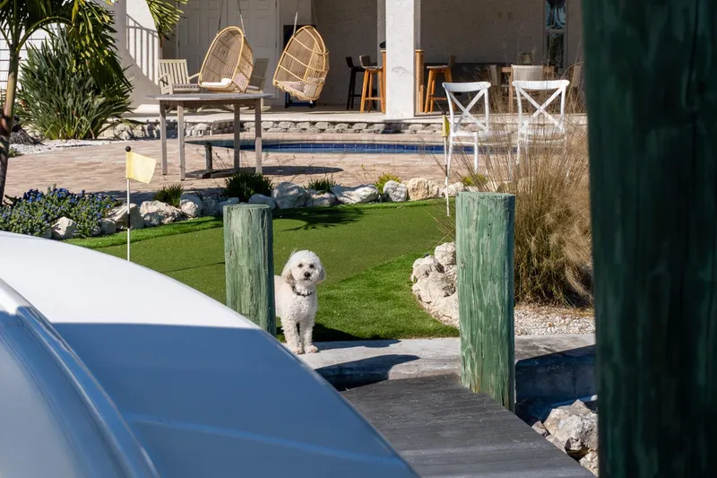 Slide: The Image of Small dog on dock near Jupiter 34 FS boat, with patio and greenery in background. - 15