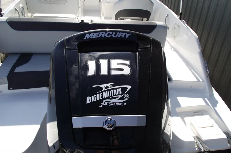 Slide: The Image of 2024 Bayliner Element M19 with Mercury 115 outboard engine, Rogue Motion branding. - 5