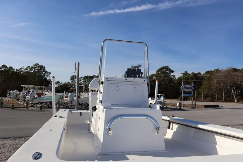 Slide: The Image of Carolina Skimmer 21 2021 - 12