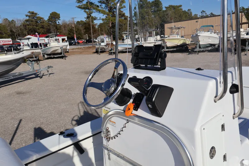 Slide: The Image of Carolina Skimmer 21 2021 - 4