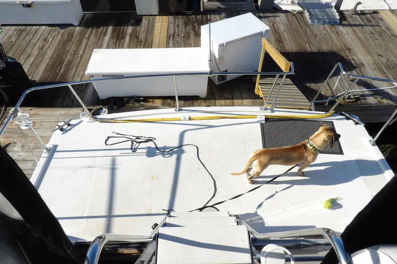 Slide: The Image of Dog on deck of 1992 Carver 28 Aft Cabin Motor Yacht at dock. - 13