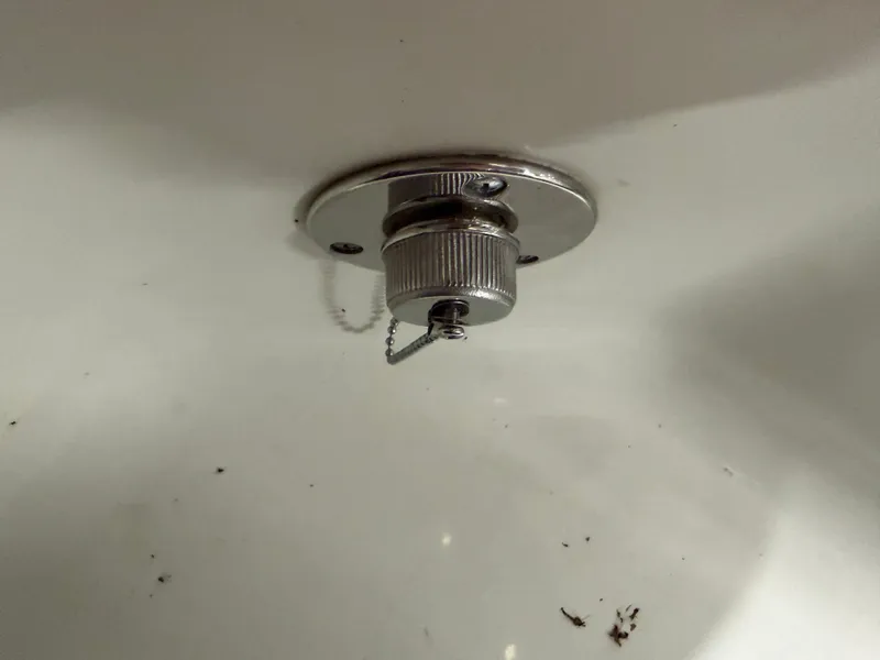 Slide: The Image of Sailfish 275 DC 2019 - 21