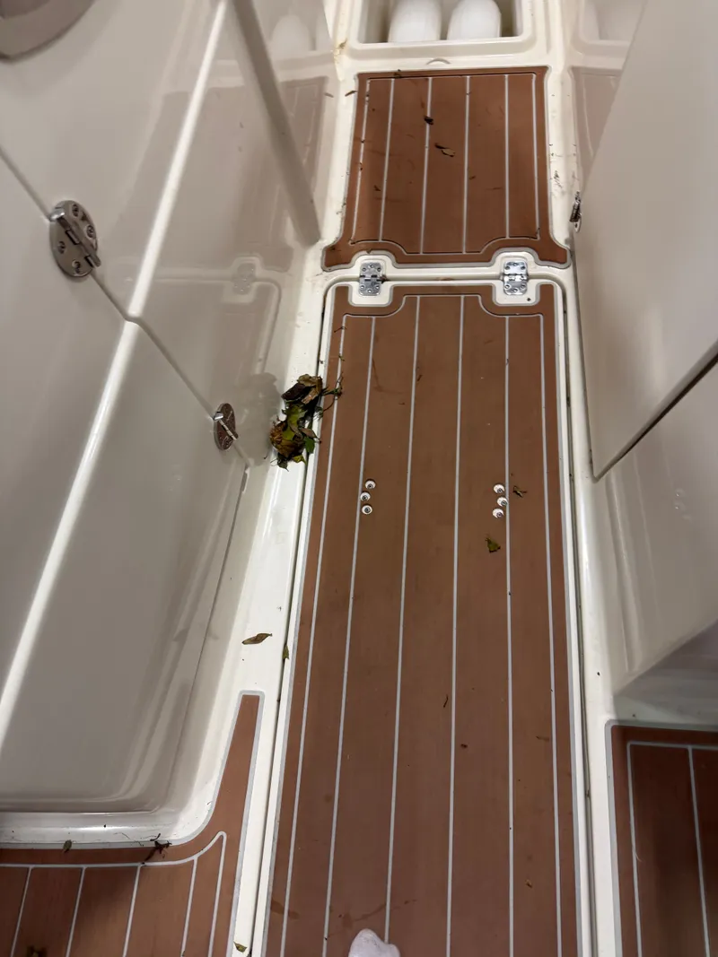 Slide: The Image of Sailfish 275 DC 2019 - 9