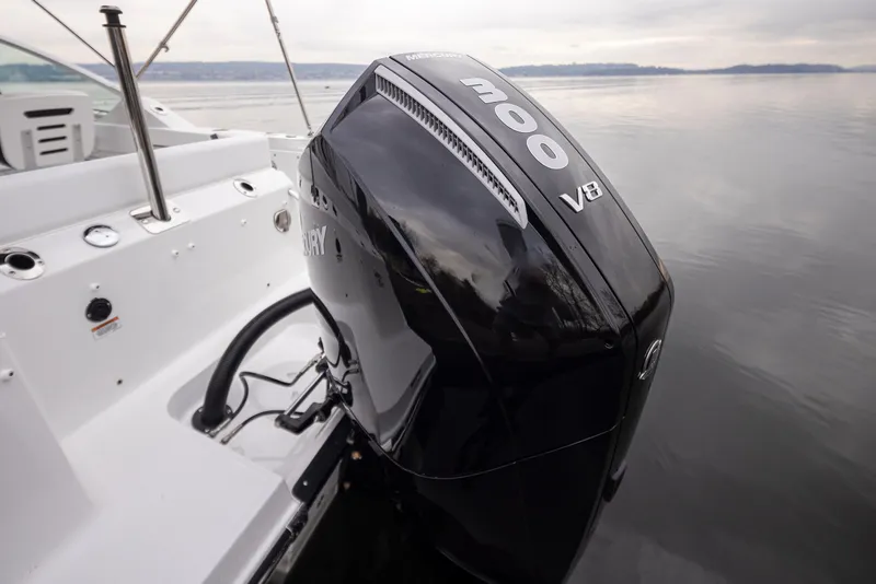 Slide: The Image of 2024 Blackfin 232DC boat with powerful V8 engine on calm water. - 35