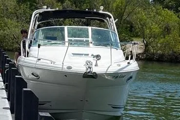 The Image of 2007 Sea Ray 270 Amberjack boat docked by lush greenery. - 0