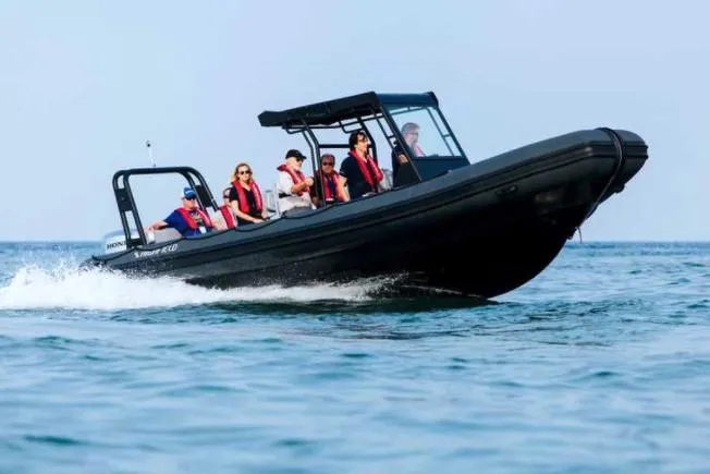 The Image of Manufacturer Provided Image - 0