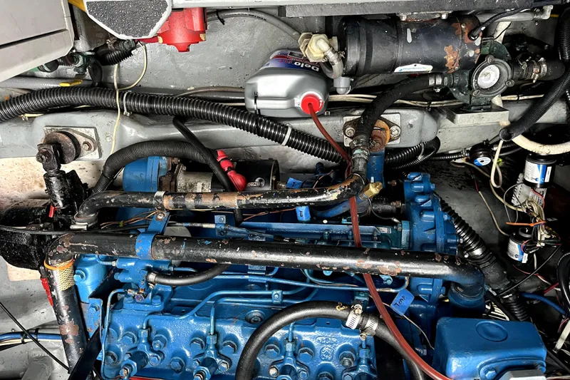 Slide: The Image of Amel Mango 1979 - 51