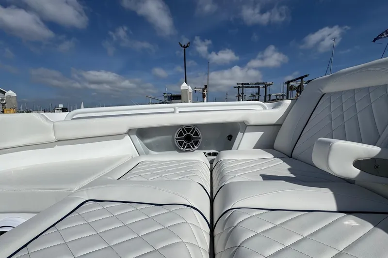 Slide: The Image of Everglades 367 CX 2026 - 115