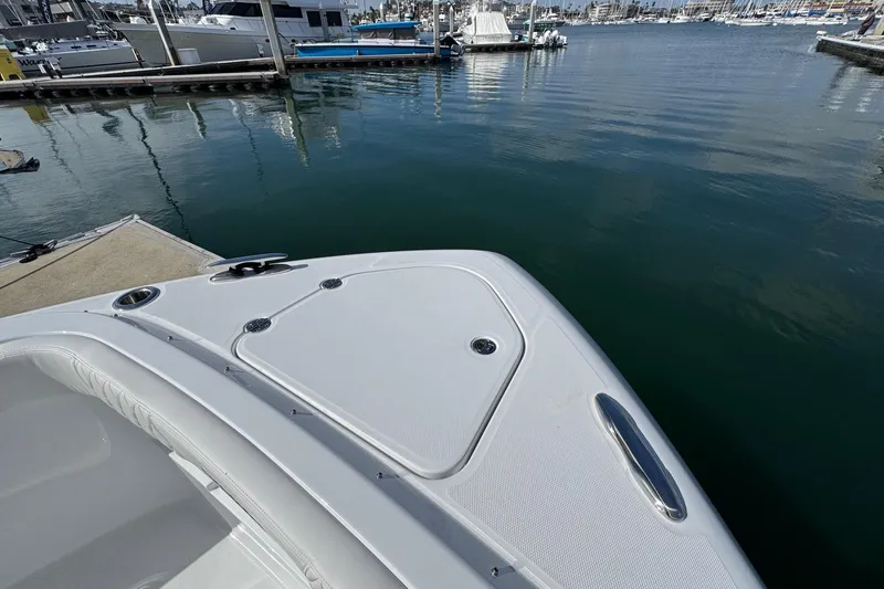 Slide: The Image of Everglades 367 CX 2026 - 116