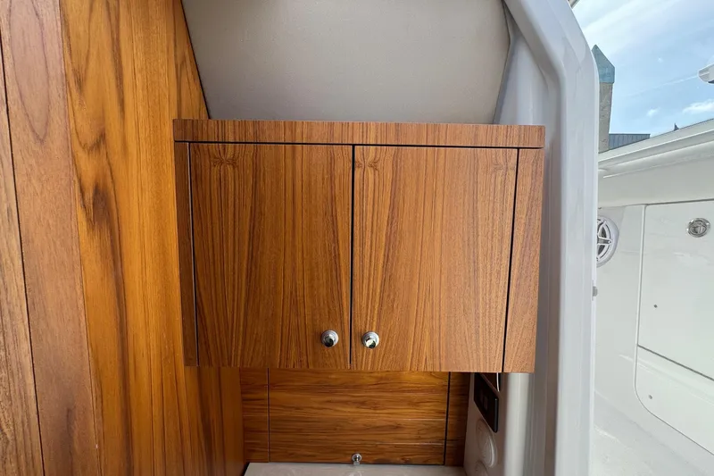 Slide: The Image of Everglades 367 CX 2026 - 85