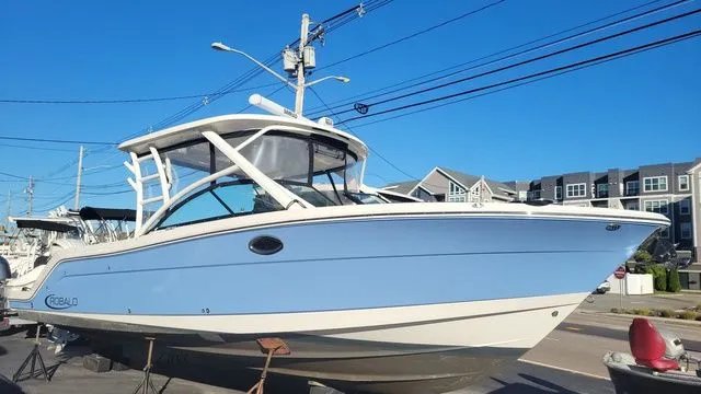 The Image of Robalo R317 Dual Console 2024 - 1