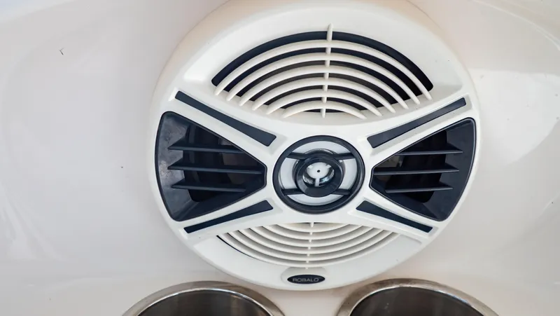 Slide: The Image of Speaker on 2010 Robalo R305 Walkaround boat, featuring modern design. - 41