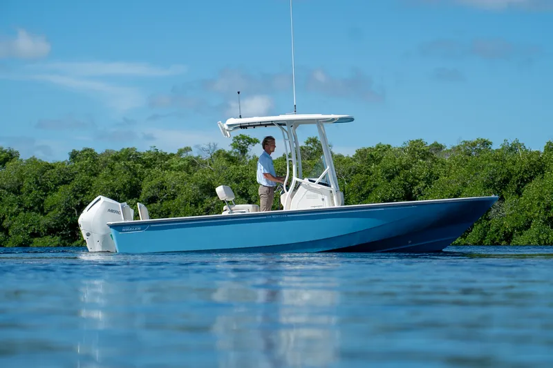 Slide: The Image of Boston Whaler 210 Montauk 2026 - 21