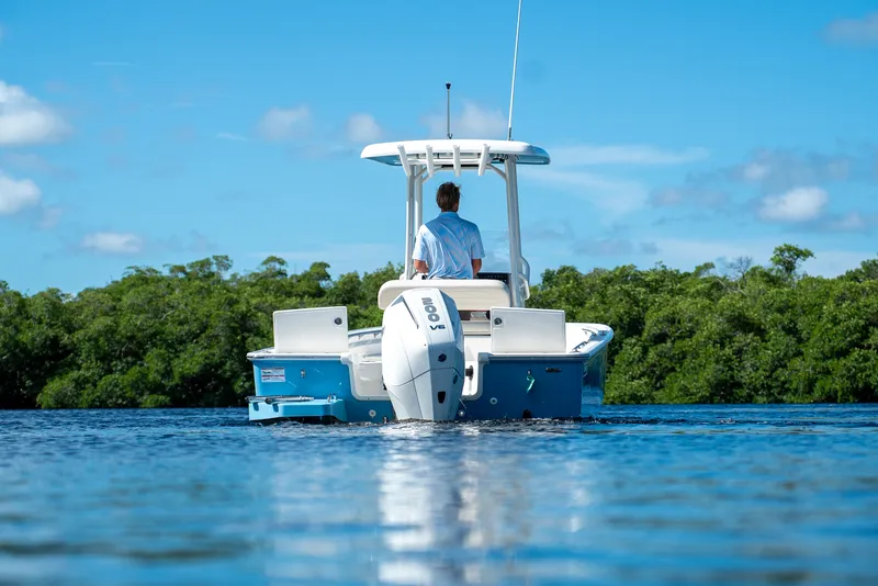 Slide: The Image of Boston Whaler 210 Montauk 2026 - 23