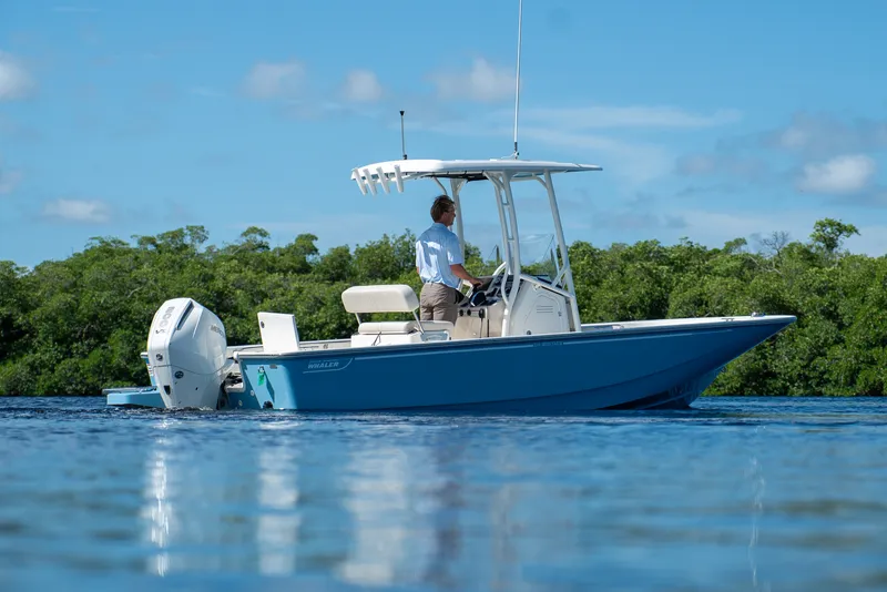 Slide: The Image of Boston Whaler 210 Montauk 2026 - 3