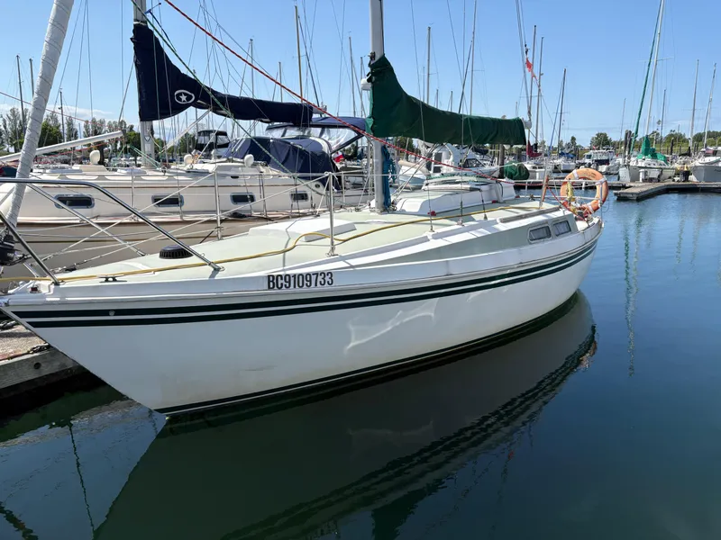 The Image of 1981 Newport 27 S sailboat docked in a marina, surrounded by other boats. - 0