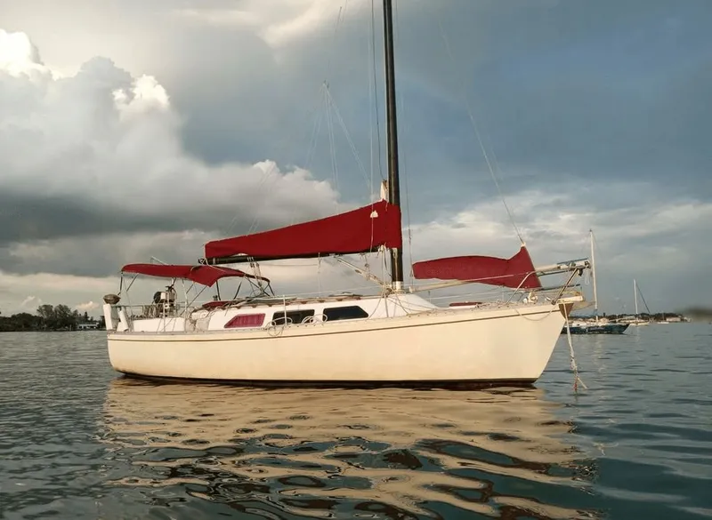 The Image of Freedom 32 1984 - 0