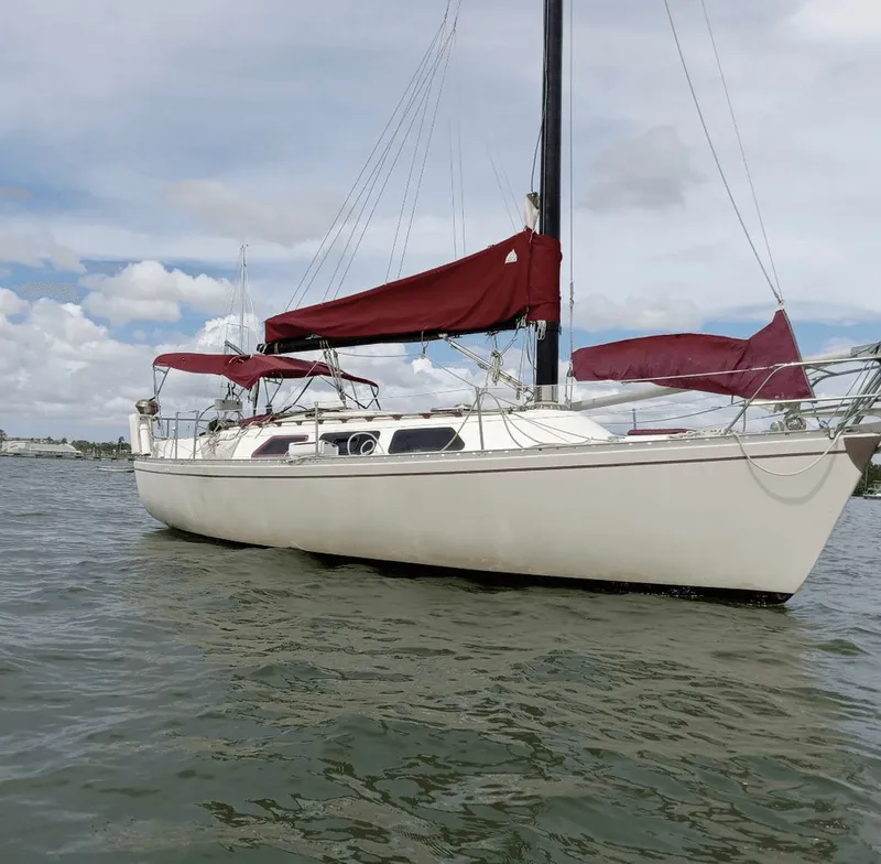 Slide: The Image of Freedom 32 1984 - 1