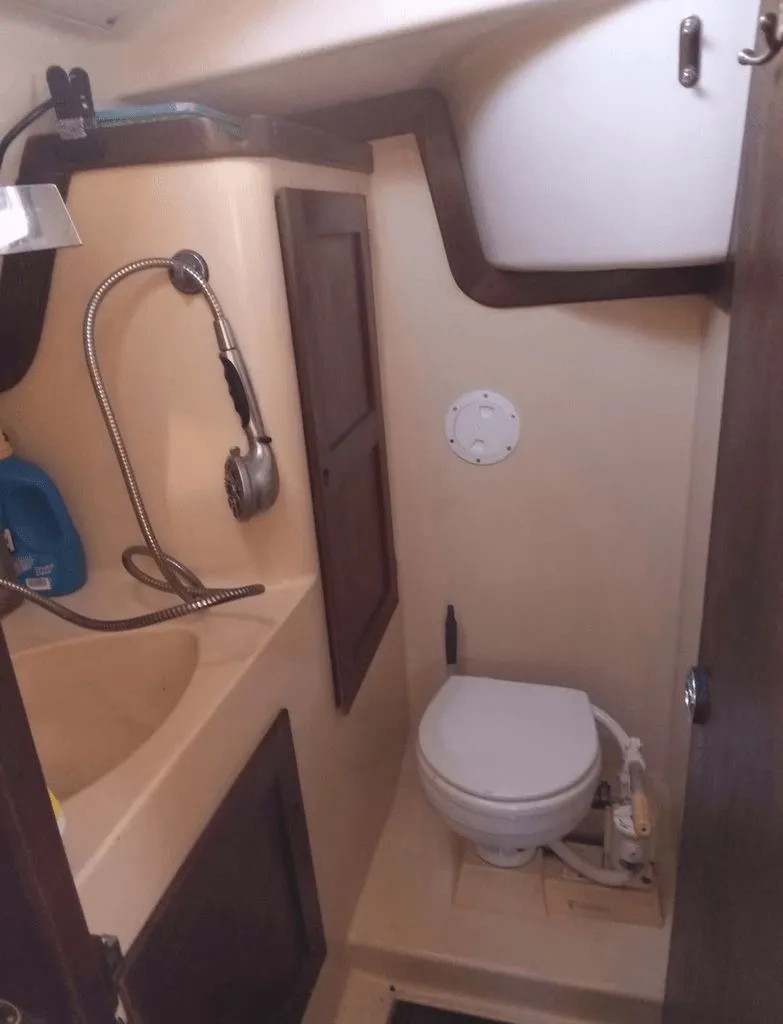 Slide: The Image of Freedom 32 1984 - 11