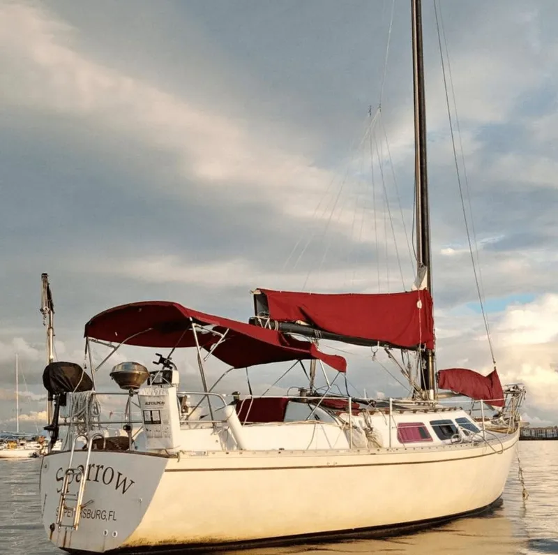 Slide: The Image of Freedom 32 1984 - 3