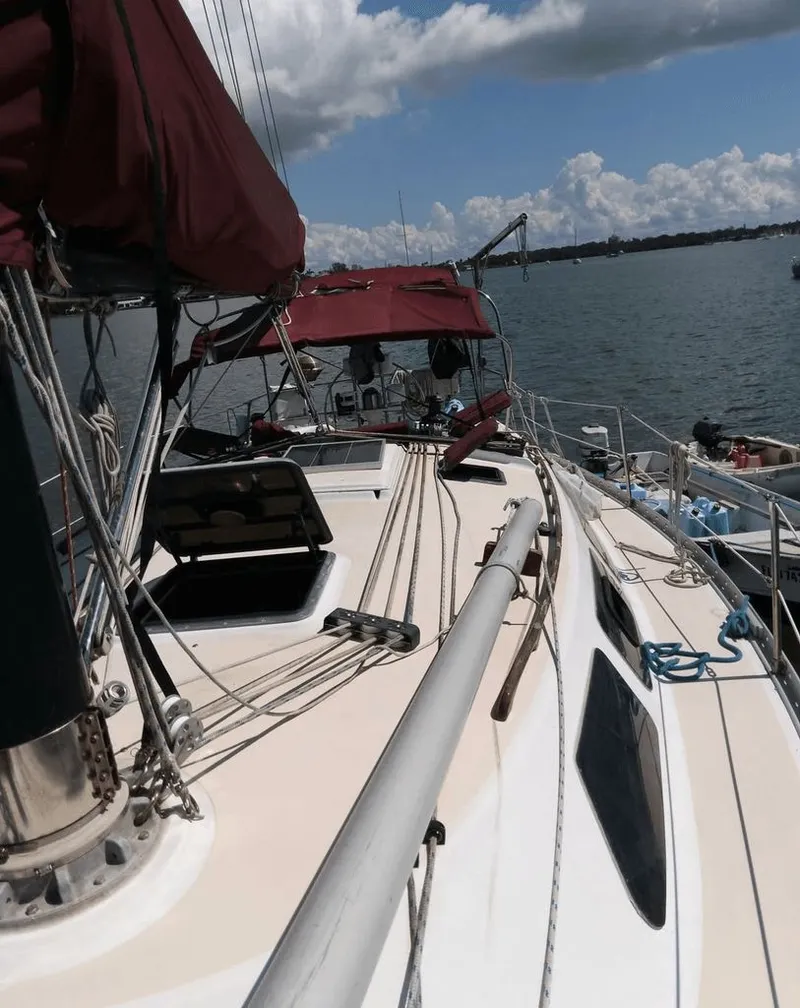 Slide: The Image of Freedom 32 1984 - 5