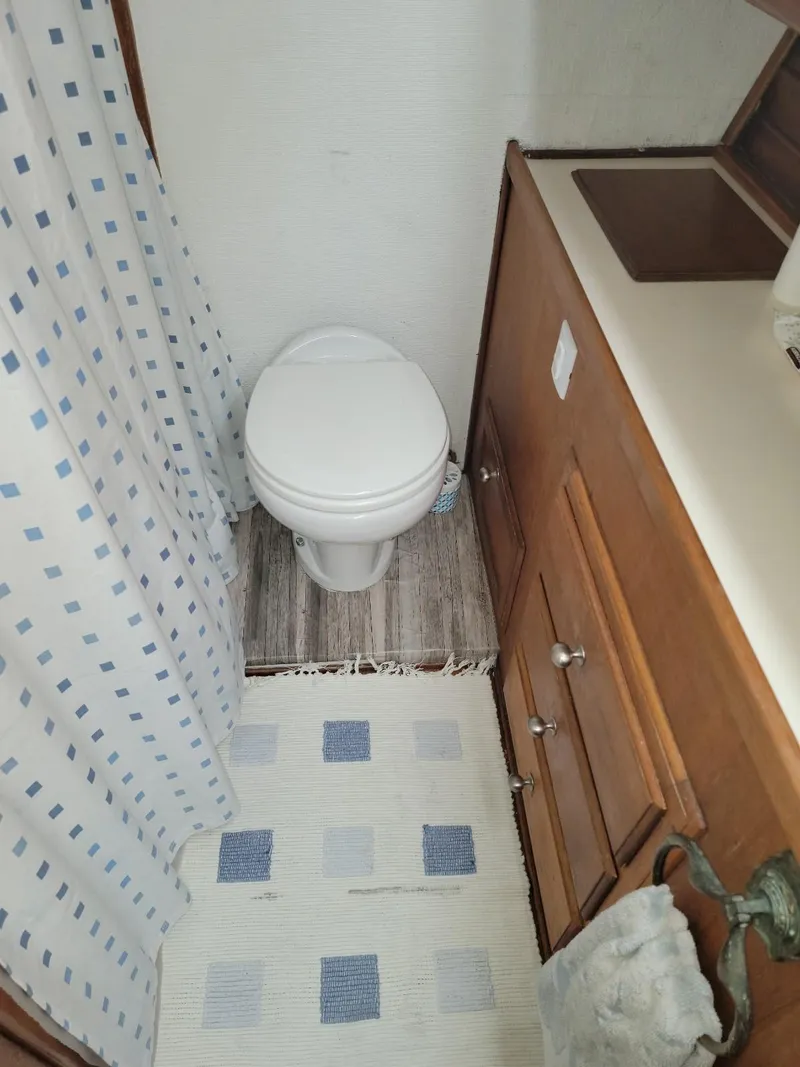 Slide: The Image of 1974 Californian 42 LRC bathroom with toilet, sink, and patterned shower curtain. - 9