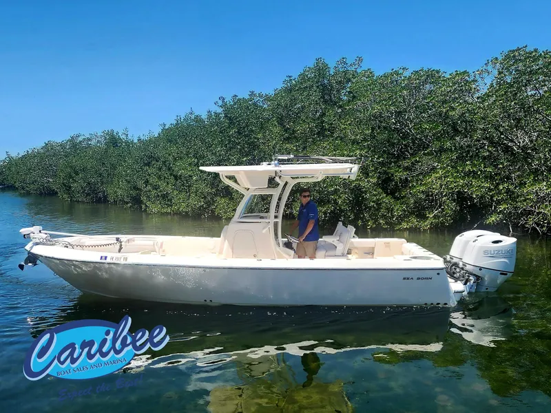 The Image of 2022 SEA BORN 26 LX - Image 1 - 1