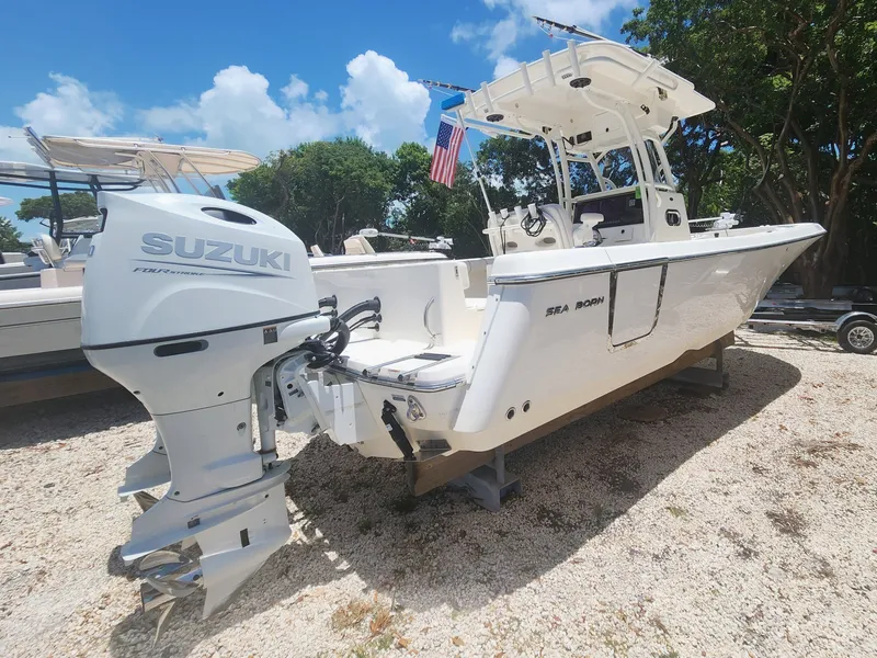 Slide: The Image of 2022 SEA BORN 26 LX - Image 12 - 12