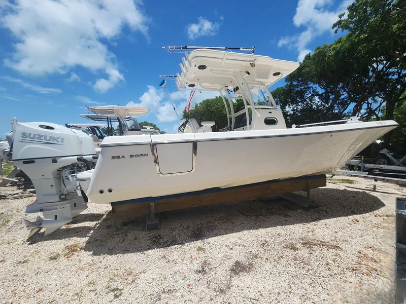 Slide: The Image of 2022 SEA BORN 26 LX - Image 14 - 14