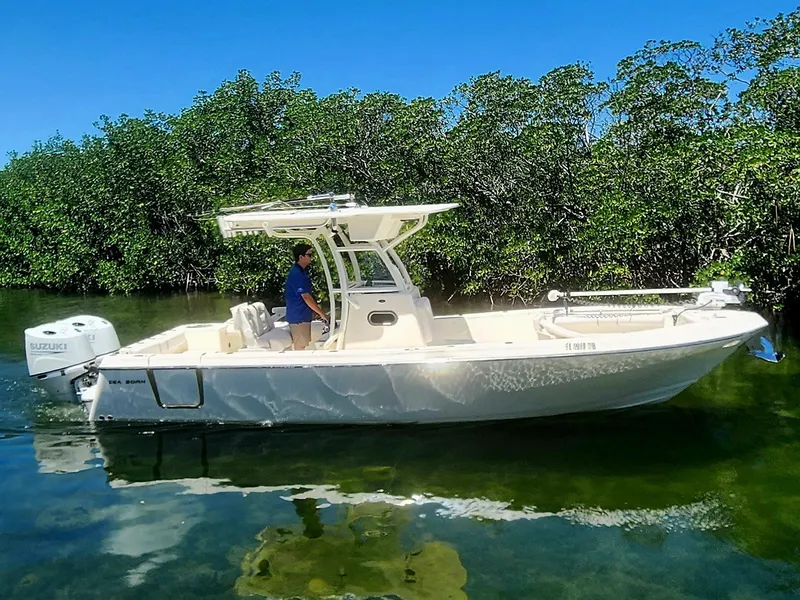 Slide: The Image of 2022 SEA BORN 26 LX - Image 2 - 2