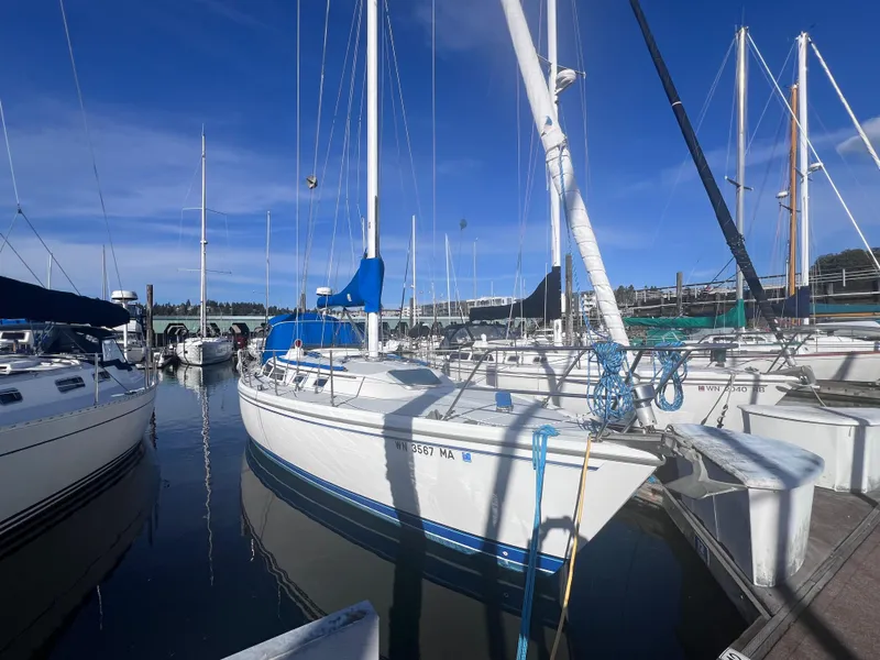 Slide: The Image of 1989 Catalina 36 sailboat docked in a marina under a clear blue sky. - 3