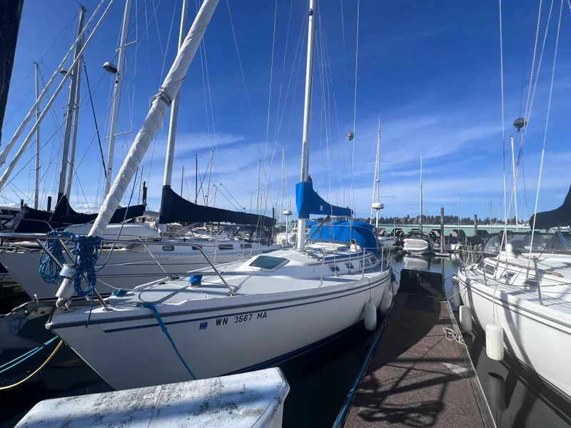 Slide: The Image of 1989 Catalina 36 sailboat docked at marina under clear blue sky. - 8