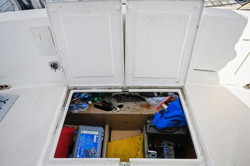 Slide: The Image of Shannon VOYAGER 1991 - 15