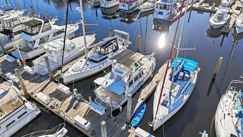 Slide: The Image of Shannon VOYAGER 1991 - 37