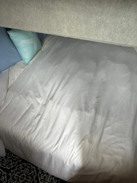 Slide: The Image of Aft Berth - 35