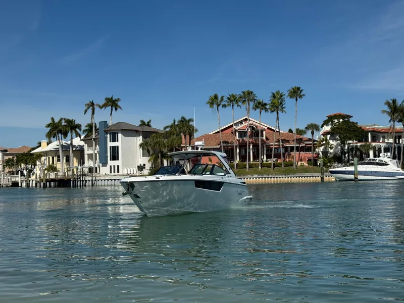 Slide: The Image of Monterey 385 SS 2023 - 6