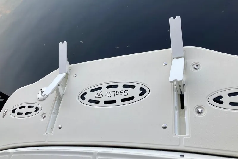 Slide: The Image of Swim platform of 2008 Sea Ray 44 Sundancer with SeaLift system. - 29
