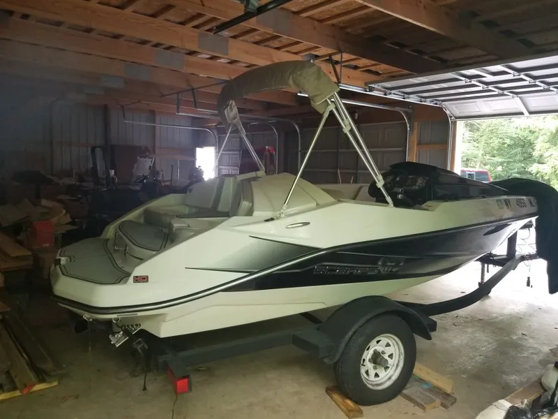 Slide: The Image of Scarab 165 2015 - 3