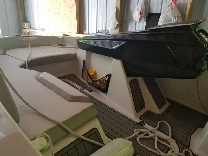 Slide: The Image of Scarab 165 2015 - 8