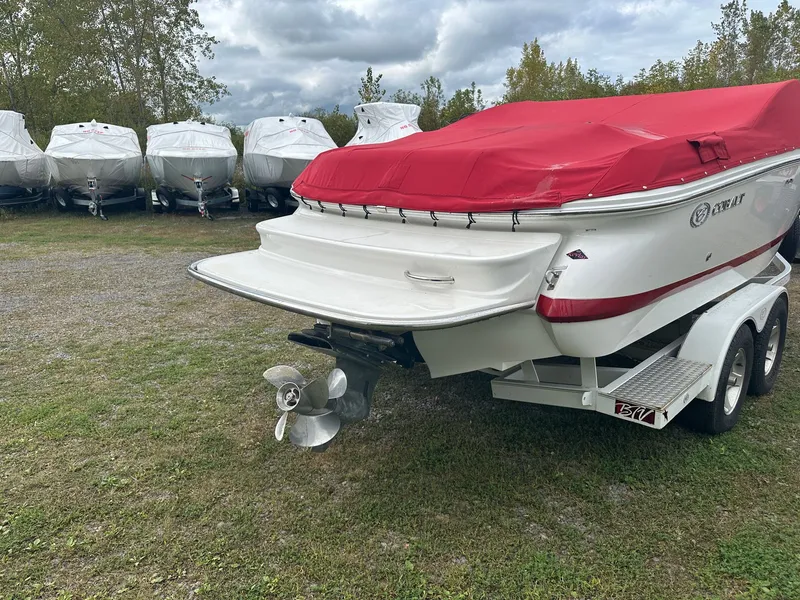 Slide: The Image of Cobalt 210 2009 - 3