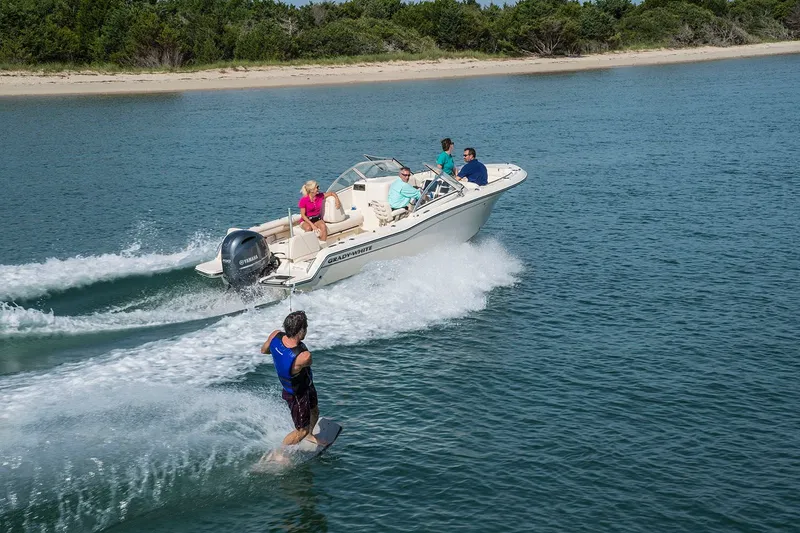 Slide: The Image of Grady-White Freedom 215 2026 - 18