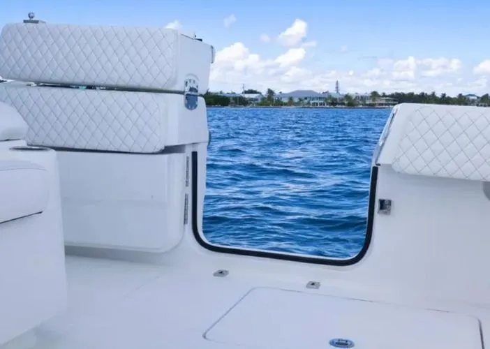 Slide: The Image of 2024 Hcb 39 Speciale - Image 4 - 4