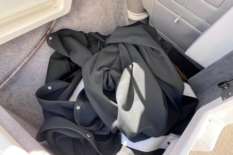 Slide: The Image of 2019 Sea Ray SLX 310 Outboard boat with open storage compartment by the water. - 74