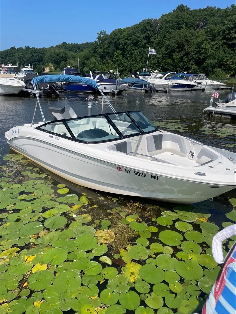 The Image of Chaparral SSi 21 2025 - 1